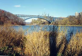Salt marsh in Inwood Hill Park