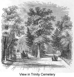 Audubon Celtic cross in Trinity Cemetery